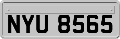 NYU8565