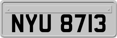 NYU8713