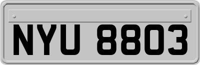 NYU8803