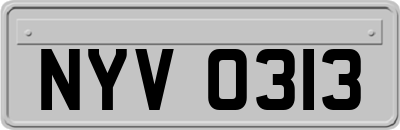 NYV0313