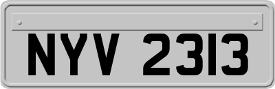 NYV2313