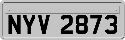NYV2873