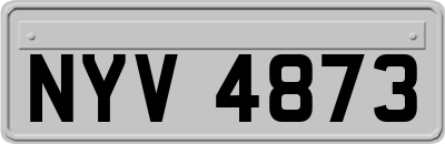 NYV4873