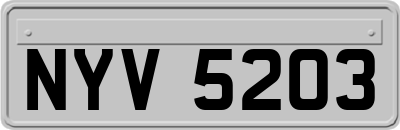 NYV5203