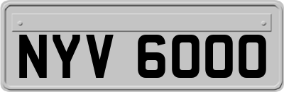 NYV6000