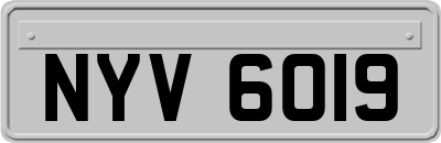 NYV6019