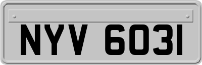 NYV6031
