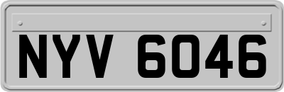 NYV6046
