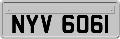 NYV6061