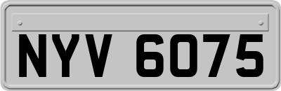 NYV6075