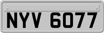NYV6077