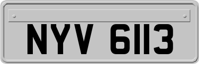 NYV6113