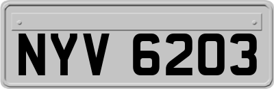 NYV6203