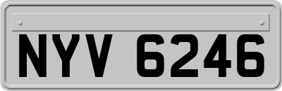 NYV6246