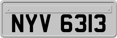 NYV6313