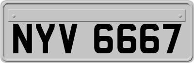 NYV6667