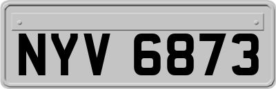 NYV6873