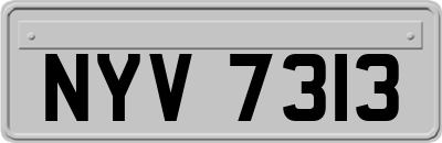 NYV7313