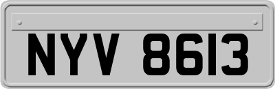 NYV8613