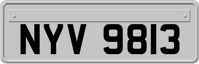 NYV9813