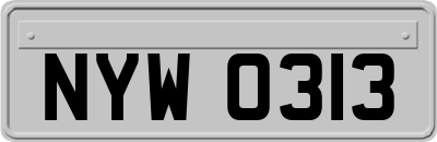 NYW0313