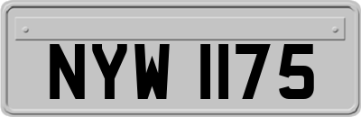 NYW1175