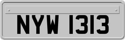 NYW1313