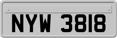 NYW3818