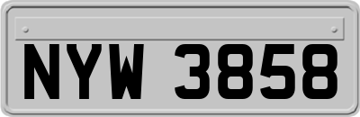 NYW3858