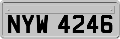 NYW4246