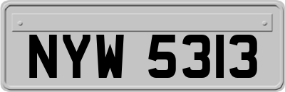 NYW5313