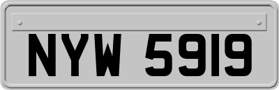 NYW5919
