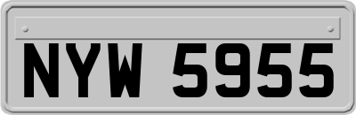 NYW5955