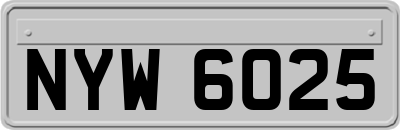 NYW6025
