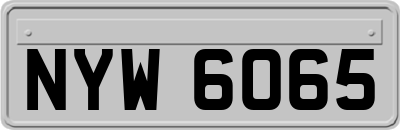 NYW6065