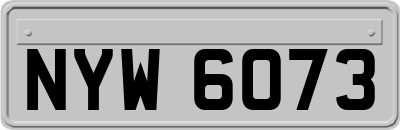 NYW6073