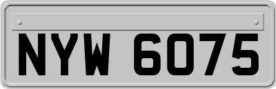 NYW6075