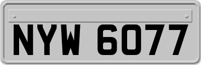 NYW6077