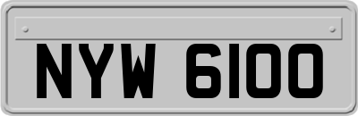 NYW6100