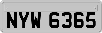 NYW6365