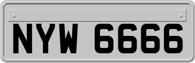 NYW6666
