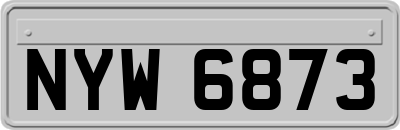 NYW6873