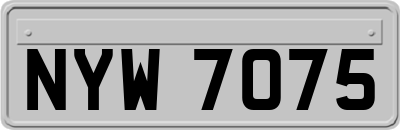 NYW7075