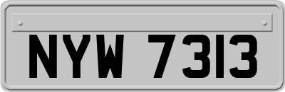 NYW7313