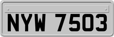 NYW7503