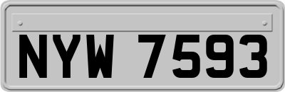 NYW7593