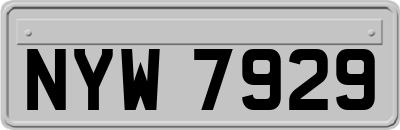 NYW7929