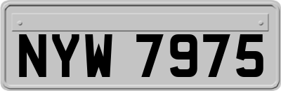 NYW7975