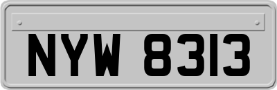 NYW8313