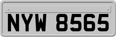 NYW8565